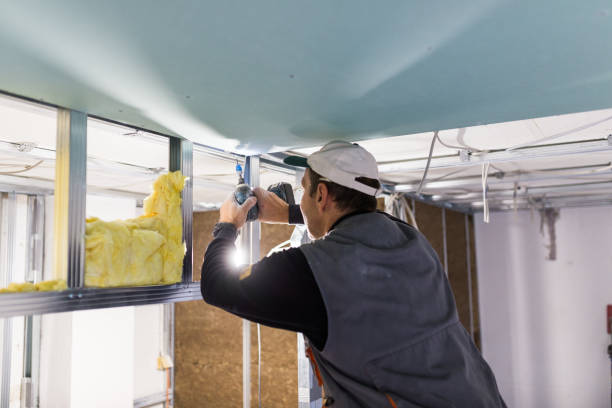 Types of Insulation We Offer in Cottageville, SC