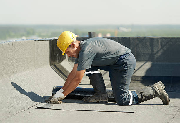 Best Specialized Insulation Services in Cottageville, SC