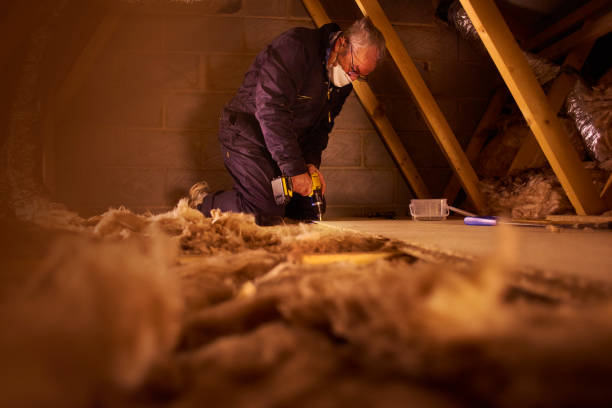 Best DIY Insulation Kits and Guidance in Cottageville, SC